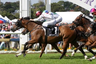 Speech Craft takes out the Hallmark Stud Handicap. Photo: Trish Dunell